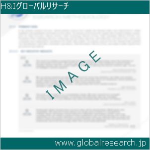 グローバルリサーチ調査レポートのイメージ